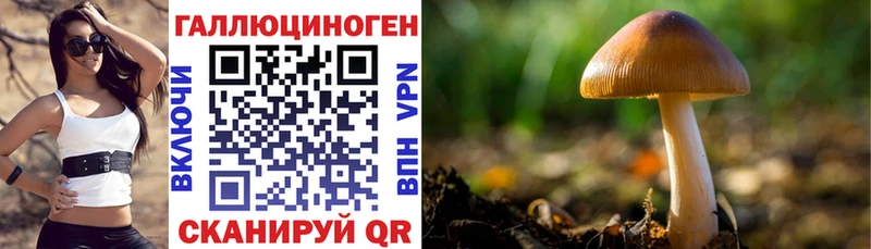 кракен вход  маркетплейс какой сайт  Псилоцибиновые грибы мухоморы  где найти   Ханты-Мансийск 